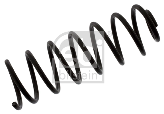 Suspension Spring